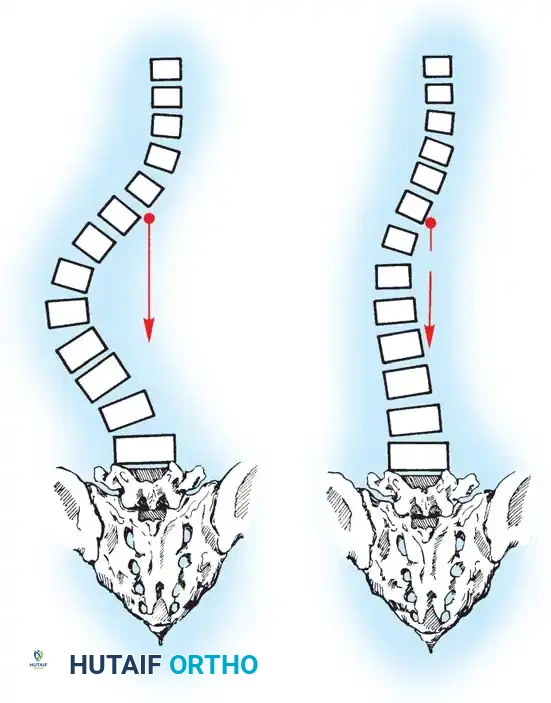 Hutaifortho's Orthopaedic Diagram