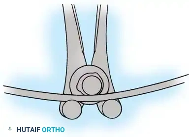 Hutaifortho's Orthopaedic Diagram