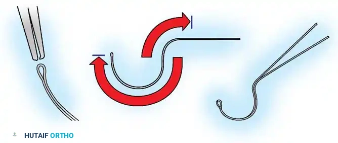 Hutaifortho's Orthopaedic Diagram