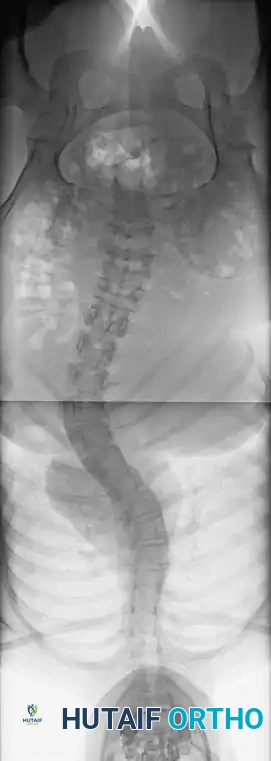 Hutaifortho's Orthopaedic Diagram