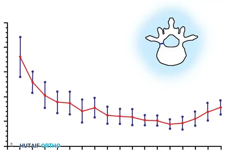 Hutaifortho's Orthopaedic Diagram