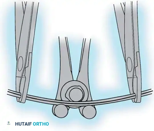 Hutaifortho's Orthopaedic Diagram