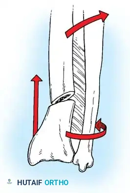 Hutaifortho's Orthopaedic Diagram