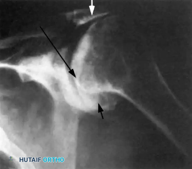 Hutaifortho's Orthopaedic Diagram
