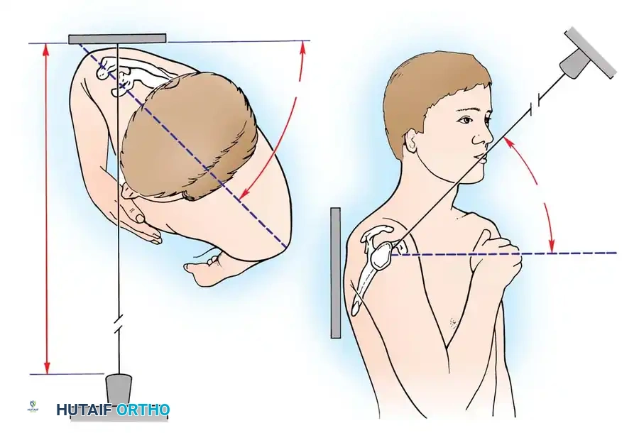 Hutaifortho's Orthopaedic Diagram