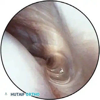 Hutaifortho's Orthopaedic Diagram