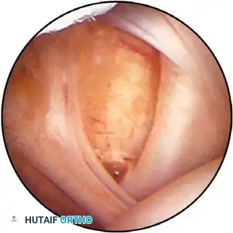 Hutaifortho's Orthopaedic Diagram