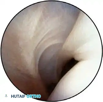 Hutaifortho's Orthopaedic Diagram