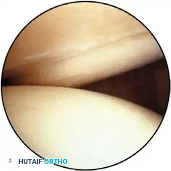 Hutaifortho's Orthopaedic Diagram