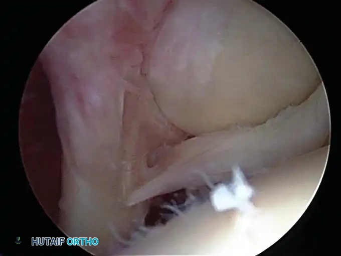 Hutaifortho's Orthopaedic Diagram