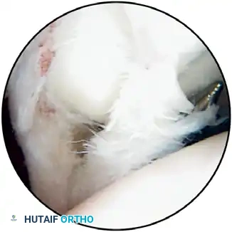 Hutaifortho's Orthopaedic Diagram