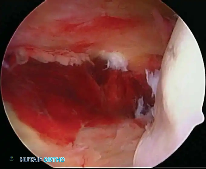 Hutaifortho's Orthopaedic Diagram