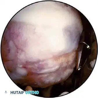 Hutaifortho's Orthopaedic Diagram