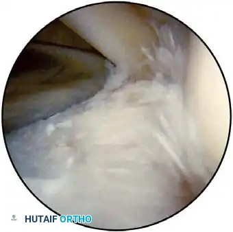 Hutaifortho's Orthopaedic Diagram