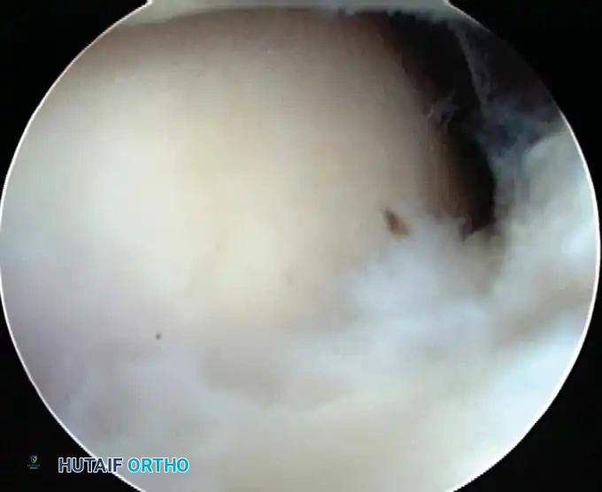Hutaifortho's Orthopaedic Diagram