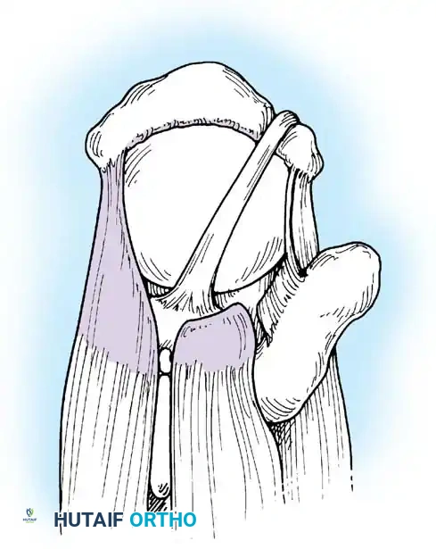 Masterclass in Shoulder Arthroscopy: Principles, Positioning, and Surgical Execution