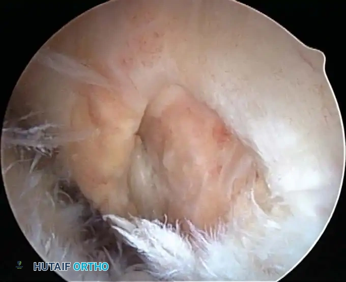 Hutaifortho's Orthopaedic Diagram