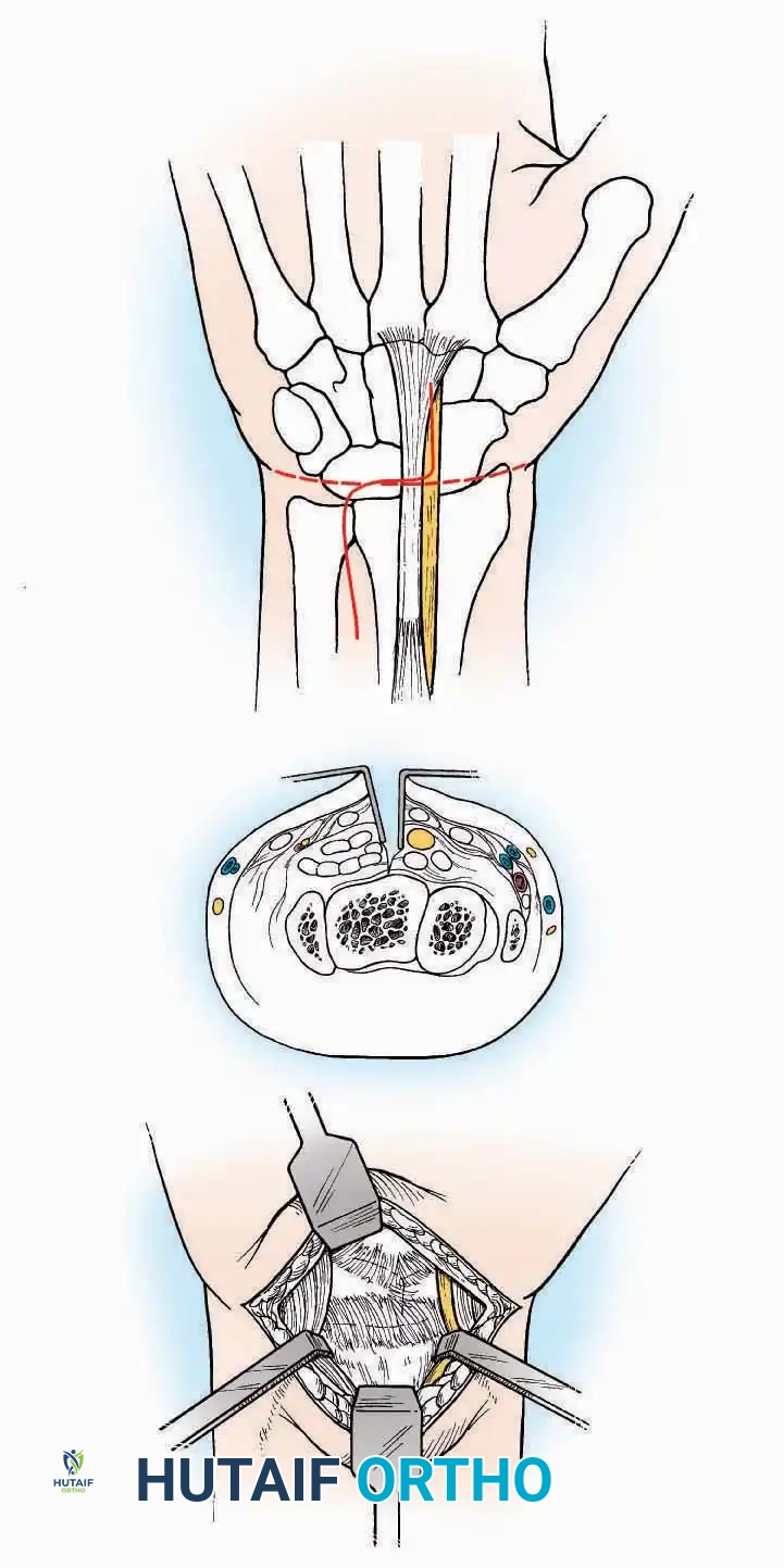Hutaifortho's Orthopaedic Diagram