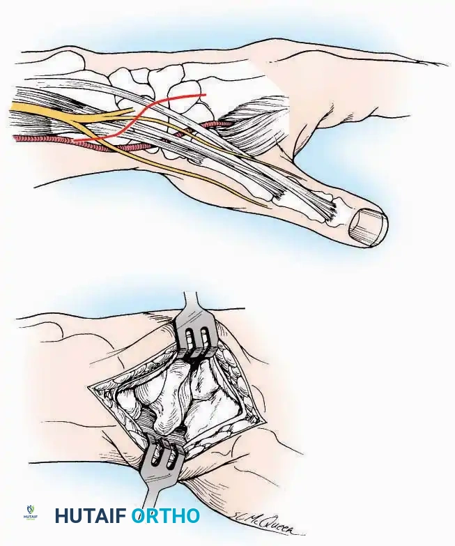 Hutaifortho's Orthopaedic Diagram
