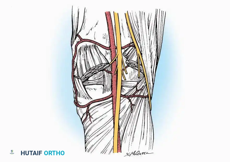 Hutaifortho's Orthopaedic Diagram