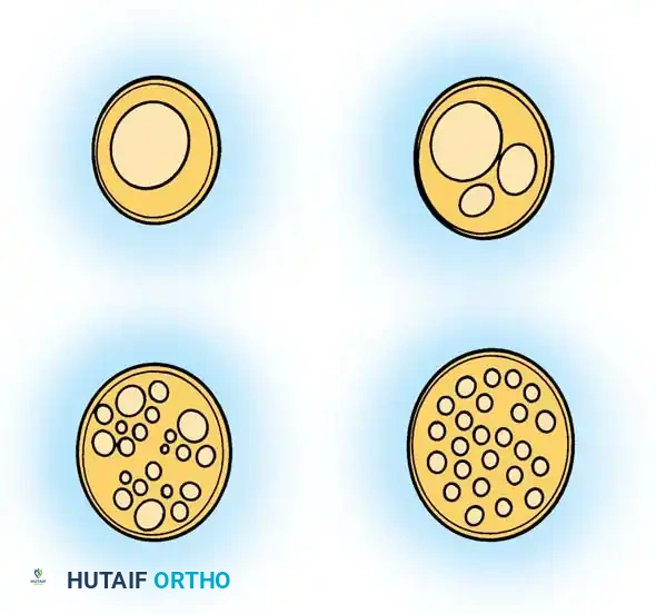 Peripheral Nerve Suturing and Grafting: Advanced Microsurgical Techniques