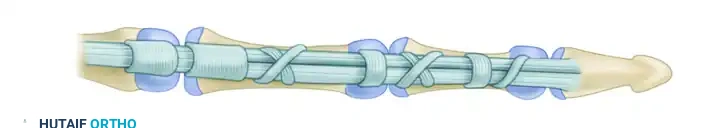 C3 A4 C2 A3 C1 A1 A2