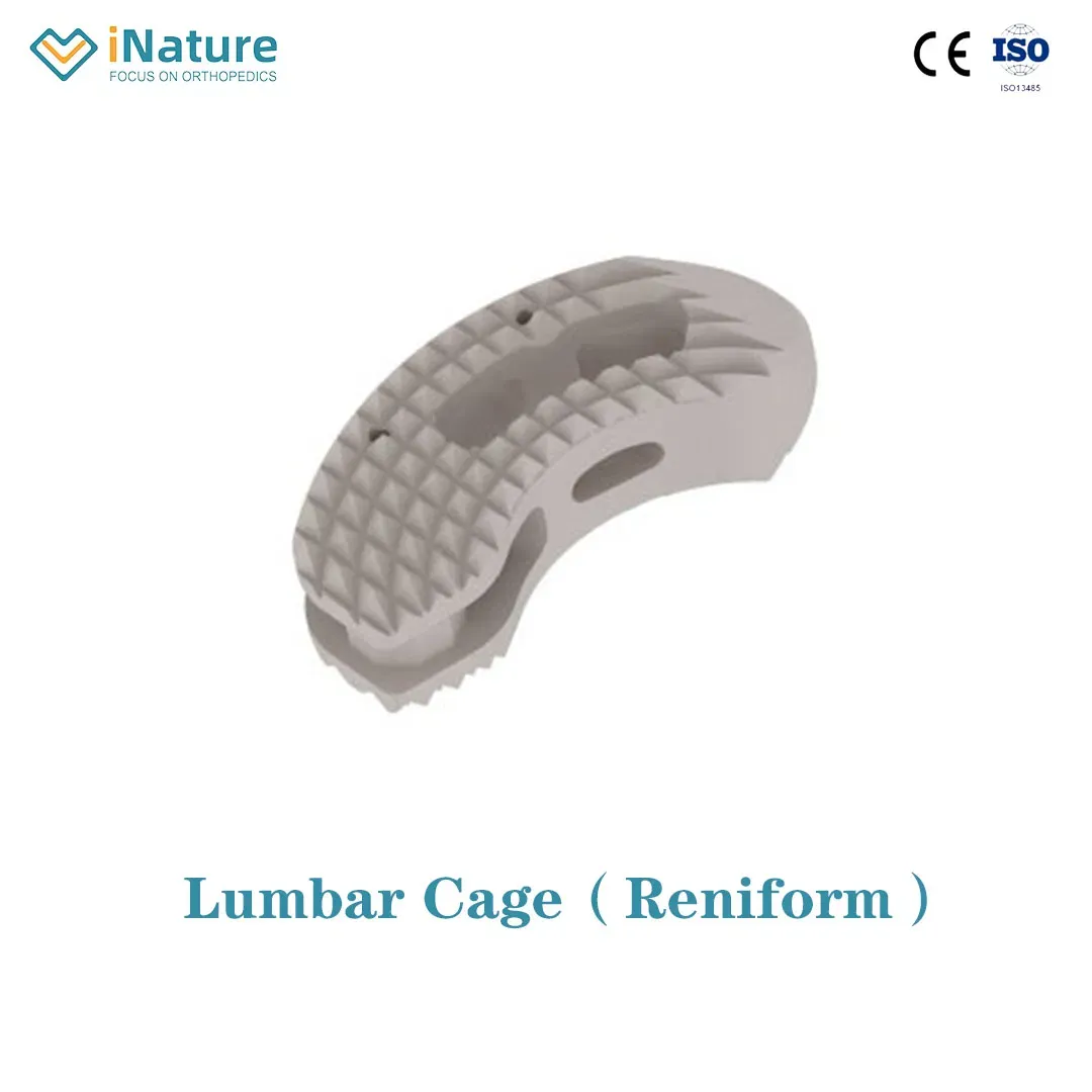 Lateral Lumbar Interbody Cage (LLIF/XLIF)