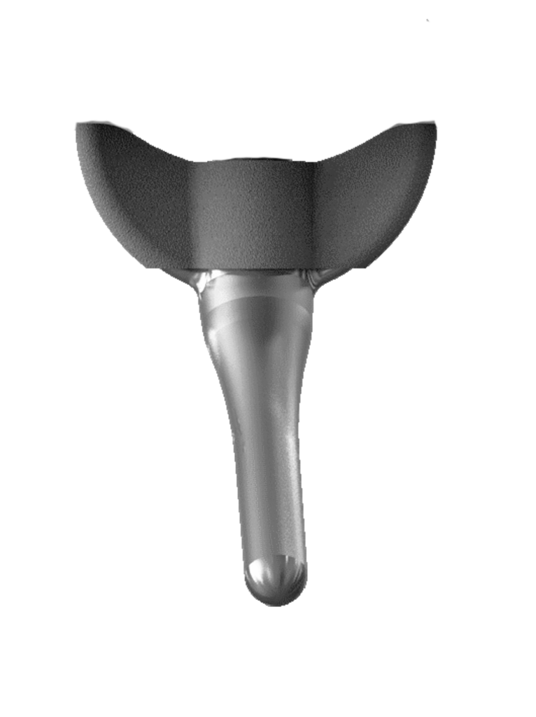Shoulder Hemiarthroplasty Humeral Stem
