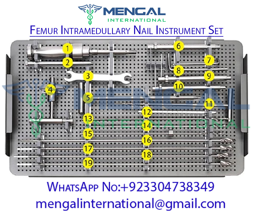 Telescoping Intramedullary Nail (Fassier-Duval)