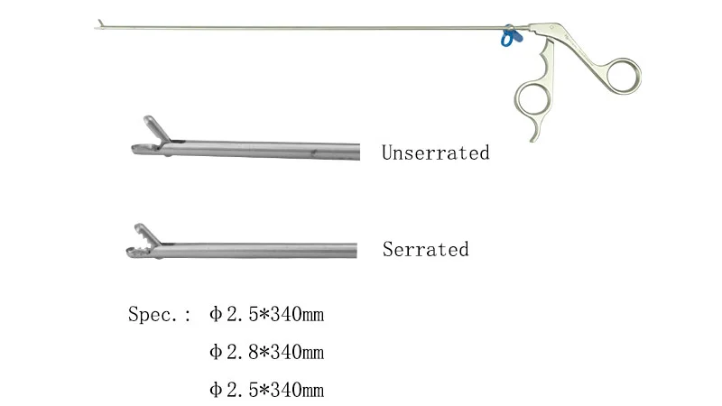 Bioabsorbable Nerve Conduit