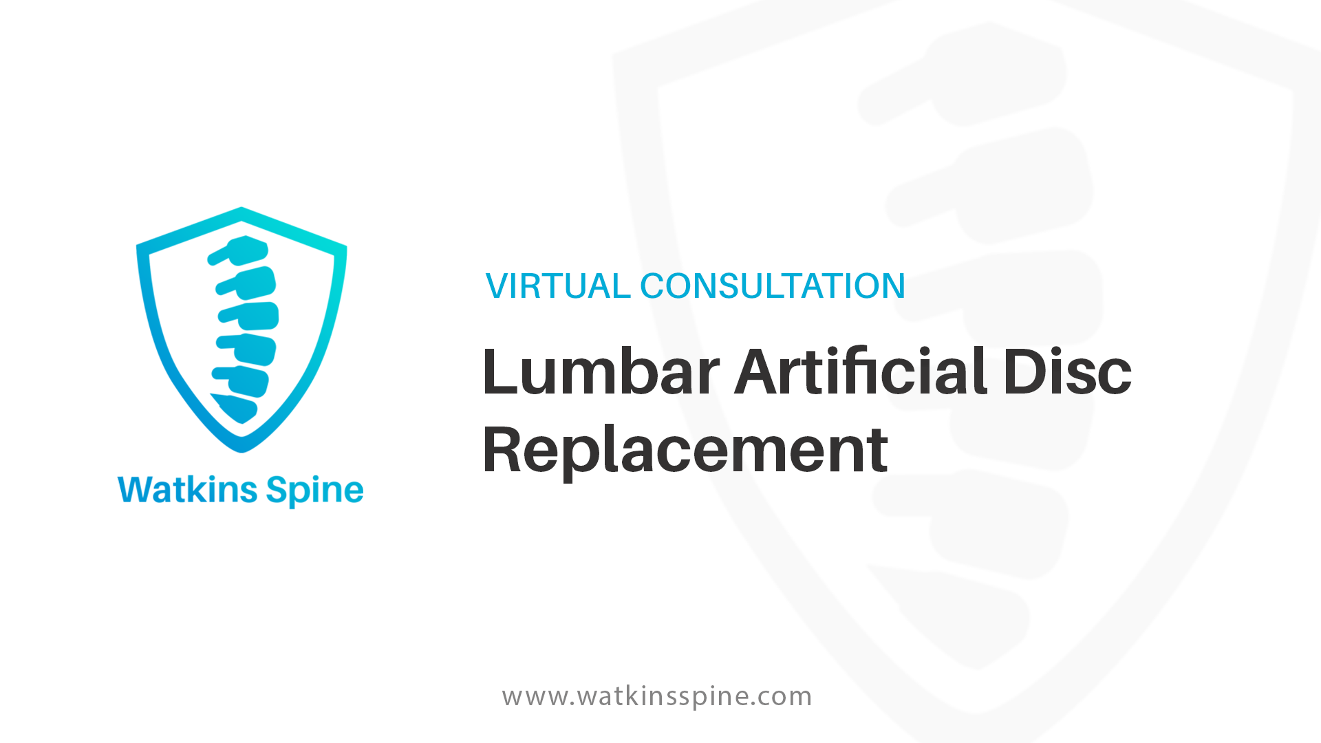 Lumbar Artificial Disc Replacement