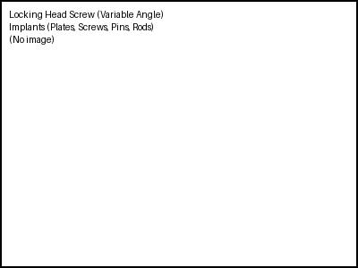 Locking Head Screw (Variable Angle)