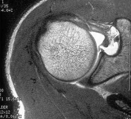 Anatomy 2000 Practice Questions: Set 1 (Solved) - Figure 1