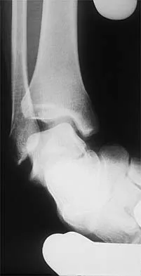 Anatomy 2000 Practice Questions: Set 1 (Solved) - Figure 5