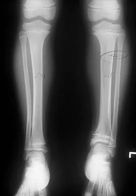 Anatomy Board Review 2000: High-Yield MCQs (Set 4) - Figure 19