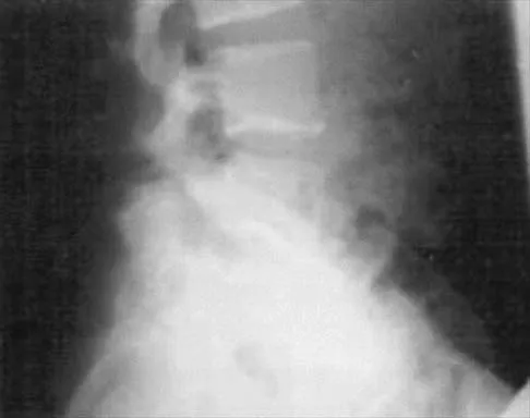 Anatomy Board Review 2000: High-Yield MCQs (Set 4) - Figure 7