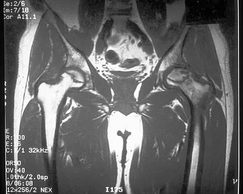 Click to enlarge Anatomy Board Review 2002: High-Yield MCQs (Set 2) - Figure 20