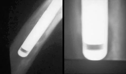 Anatomy 2002 Practice Questions: Set 3 (Solved) - Figure 11
