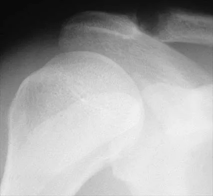 Anatomy Board Review 2002: High-Yield MCQs (Set 4) - Figure 8