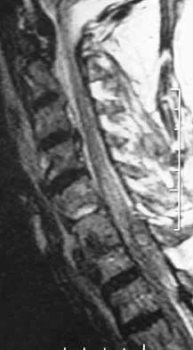 Anatomy 2005 Practice Questions: Set 1 (Solved) - Figure 1
