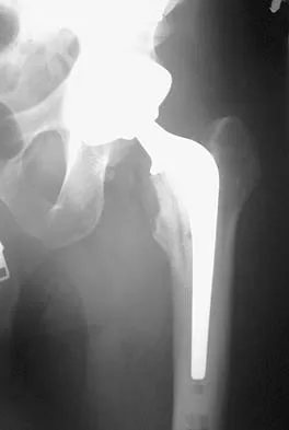 Anatomy 2005 Practice Questions: Set 1 (Solved) - Figure 2