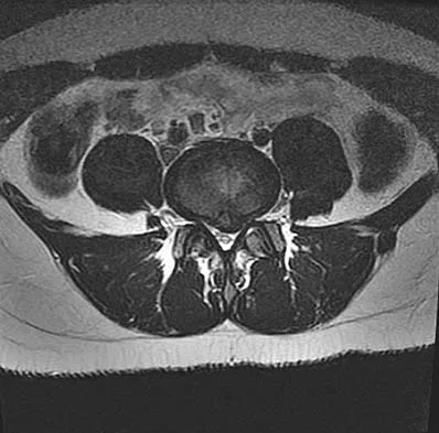 Anatomy 2005 Practice Questions: Set 1 (Solved) - Figure 7