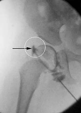 Anatomy 2005 Practice Questions: Set 3 (Solved) - Figure 18