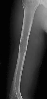 Anatomy 2005 Practice Questions: Set 3 (Solved) - Figure 20