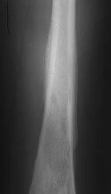 Anatomy 2005 Practice Questions: Set 3 (Solved) - Figure 9