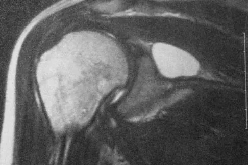 Anatomy Board Review 2005: High-Yield MCQs (Set 4) - Figure 16