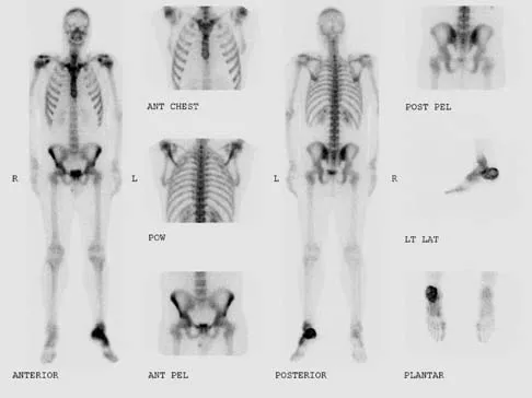 Anatomy Board Review 2005: High-Yield MCQs (Set 4) - Figure 18