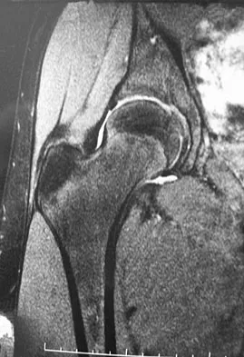 Anatomy 2008 Practice Questions: Set 1 (Solved) - Figure 10