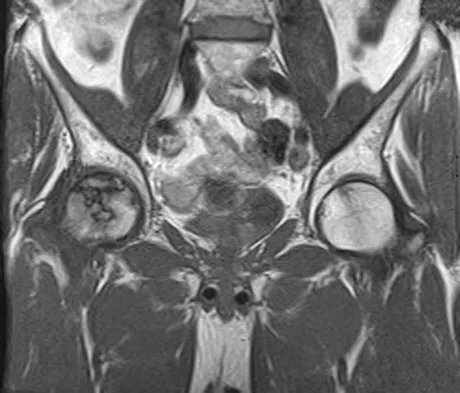 Anatomy 2008 Practice Questions: Set 1 (Solved) - Figure 24