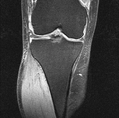 Anatomy 2008 Practice Questions: Set 1 (Solved) - Figure 29